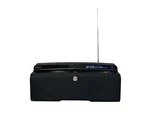 Iluv Jwin I398BLK-01 Clock 30-PIN Dock Radio Rare Used. Fixed Price $100.00.